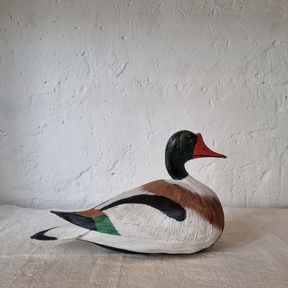 PATO TARRO BLANCO | TADORNA TADORNA | PÁJAROS