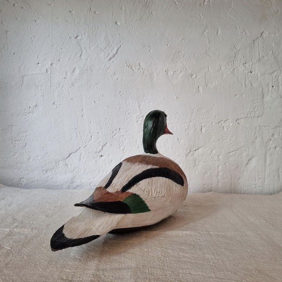 PATO TARRO BLANCO | TADORNA TADORNA | PÁJAROS