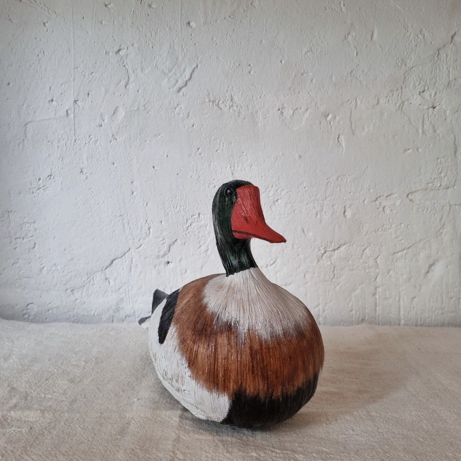PATO TARRO BLANCO | TADORNA TADORNA | PÁJAROS