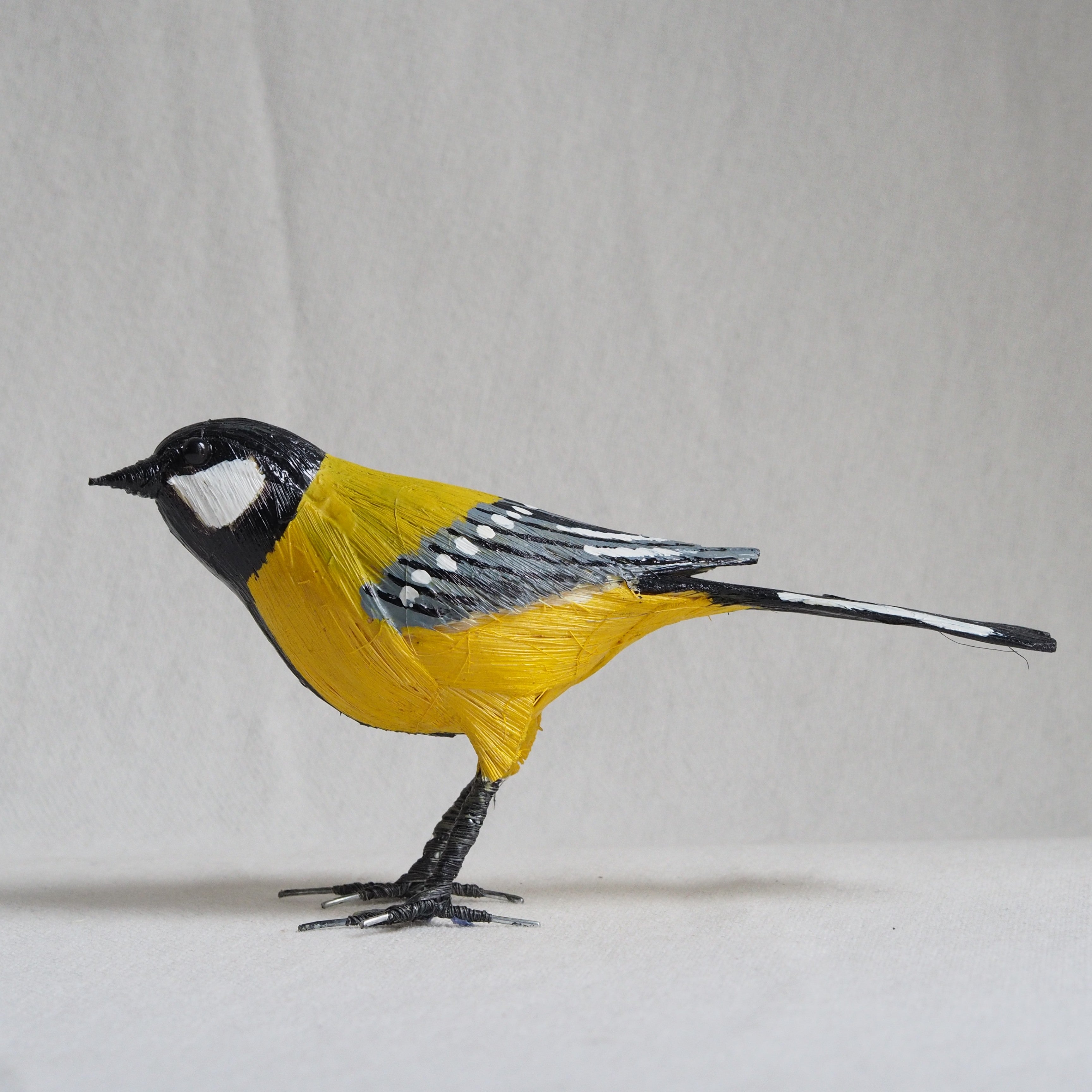 CARBONERO | PARUS MAJOR | PÁJAROS