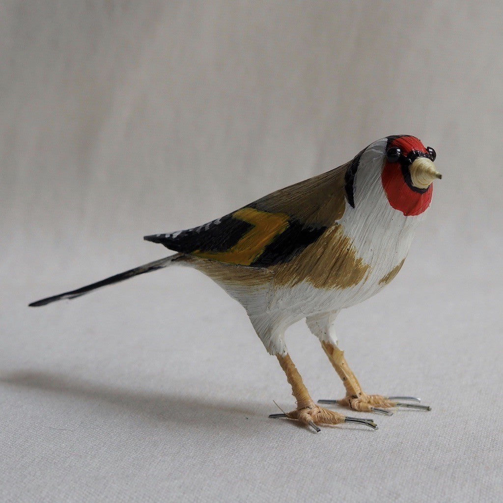 JILGUERO | CARDUELIS CARDUELIS | PÁJAROS