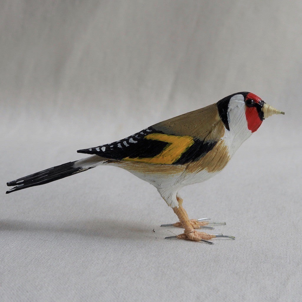 JILGUERO | CARDUELIS CARDUELIS | PÁJAROS