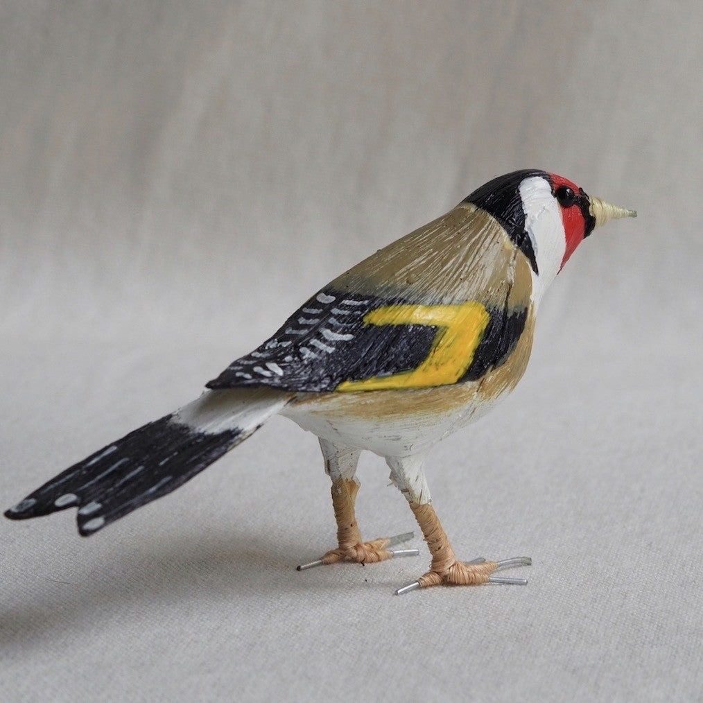 JILGUERO | CARDUELIS CARDUELIS | PÁJAROS