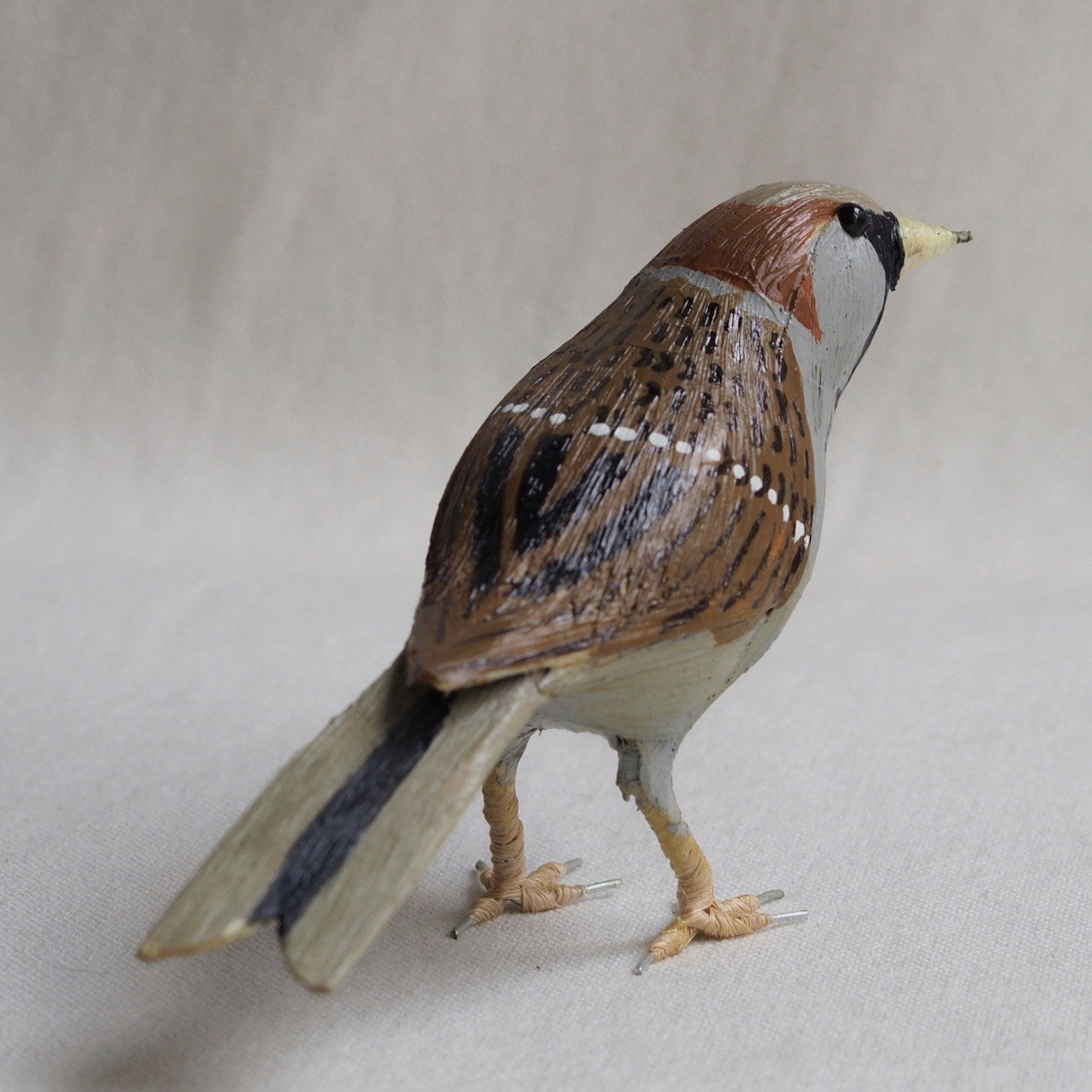 GORRION | PASSER DOMESTICUS | PÁJAROS