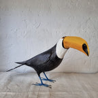 TUCAN | RAMPHASTIDAE | PÁJAROS