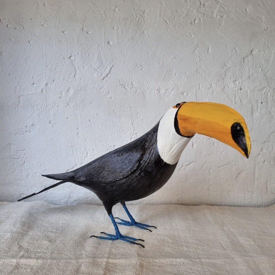 TUCAN | RAMPHASTIDAE | PÁJAROS