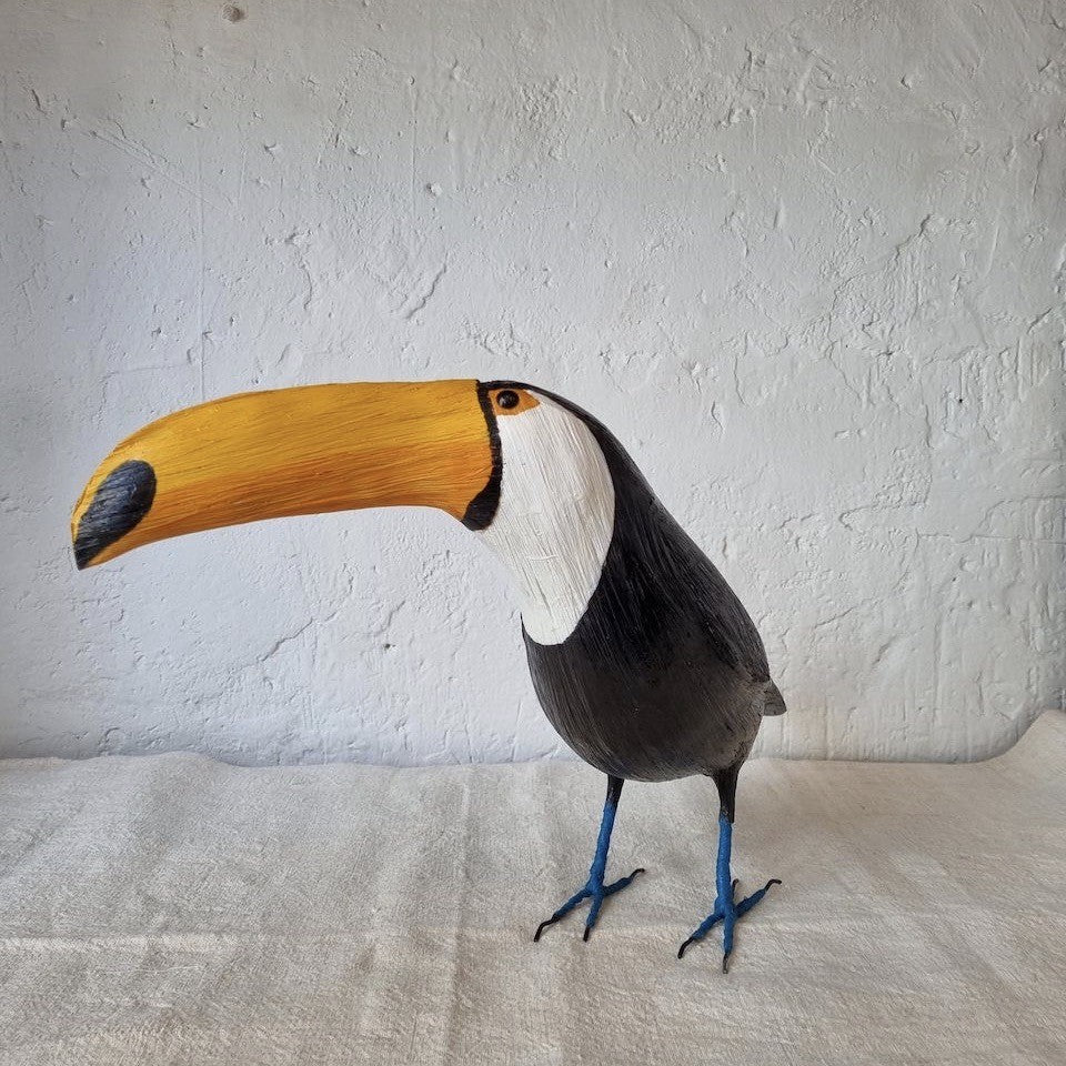 TUCAN | RAMPHASTIDAE | PÁJAROS
