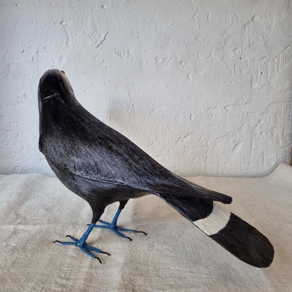 TUCAN | RAMPHASTIDAE | PÁJAROS
