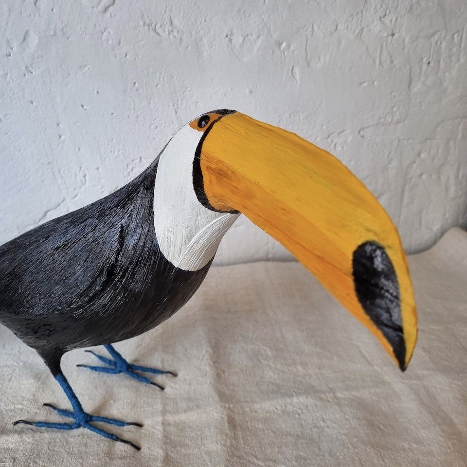 TUCAN | RAMPHASTIDAE | PÁJAROS
