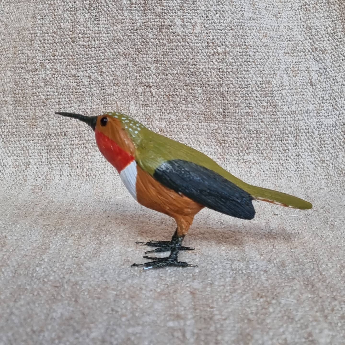 COLIBRI | TROCHILIDAE | PÁJAROS