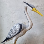 GARZA REAL | ARDEA CINEREA | PÁJAROS