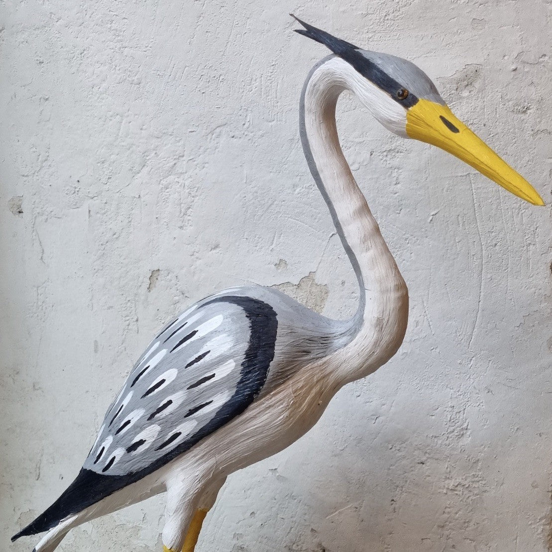 GARZA REAL | ARDEA CINEREA | PÁJAROS