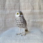 MOCHUELO | ATHENE NOCTUA | PÁJAROS