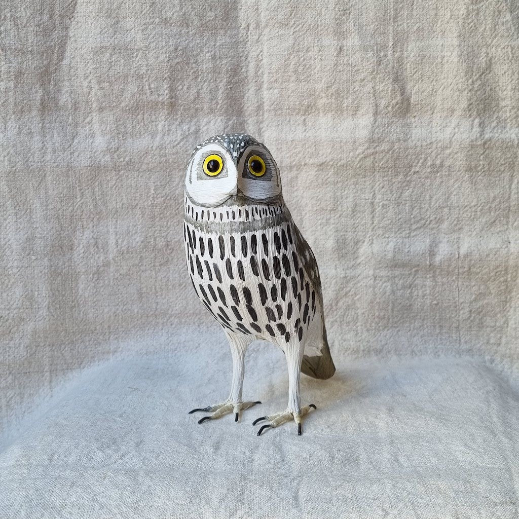 MOCHUELO | ATHENE NOCTUA | PÁJAROS