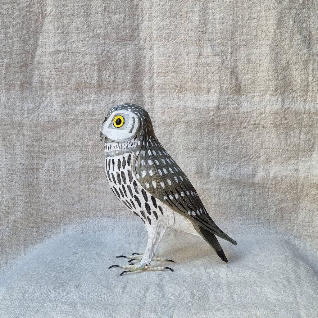 MOCHUELO | ATHENE NOCTUA | PÁJAROS