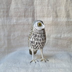 MOCHUELO | ATHENE NOCTUA | PÁJAROS