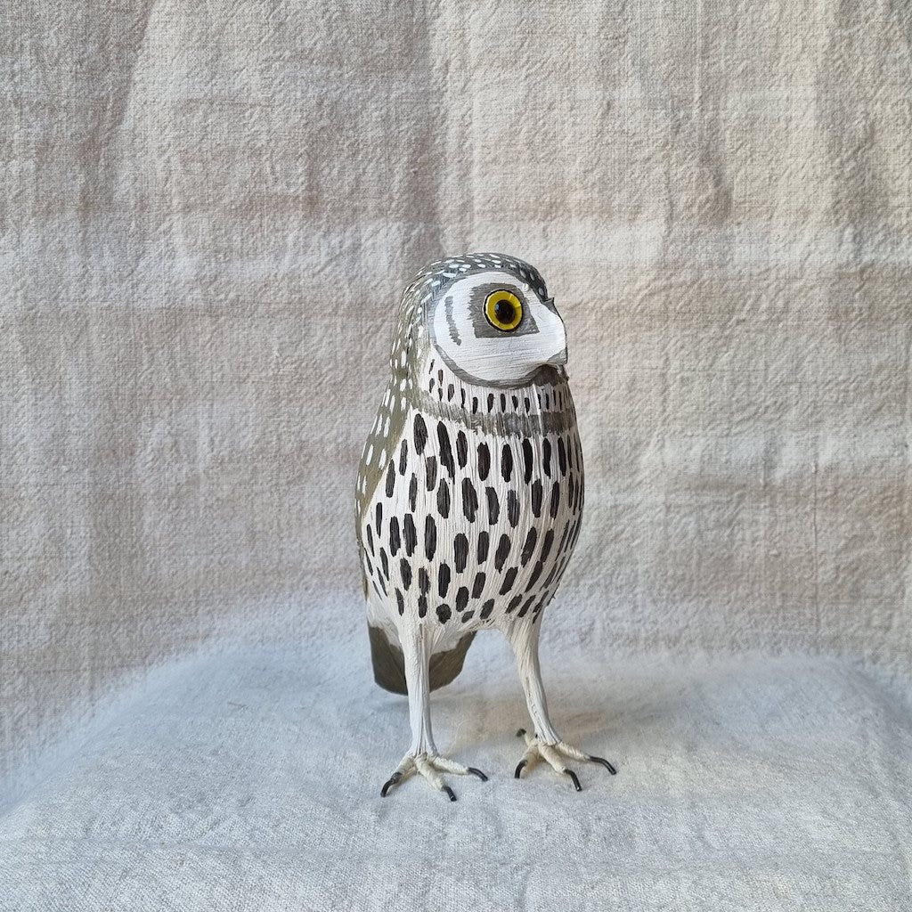 MOCHUELO | ATHENE NOCTUA | PÁJAROS