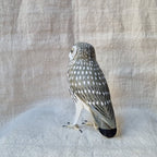 MOCHUELO | ATHENE NOCTUA | PÁJAROS
