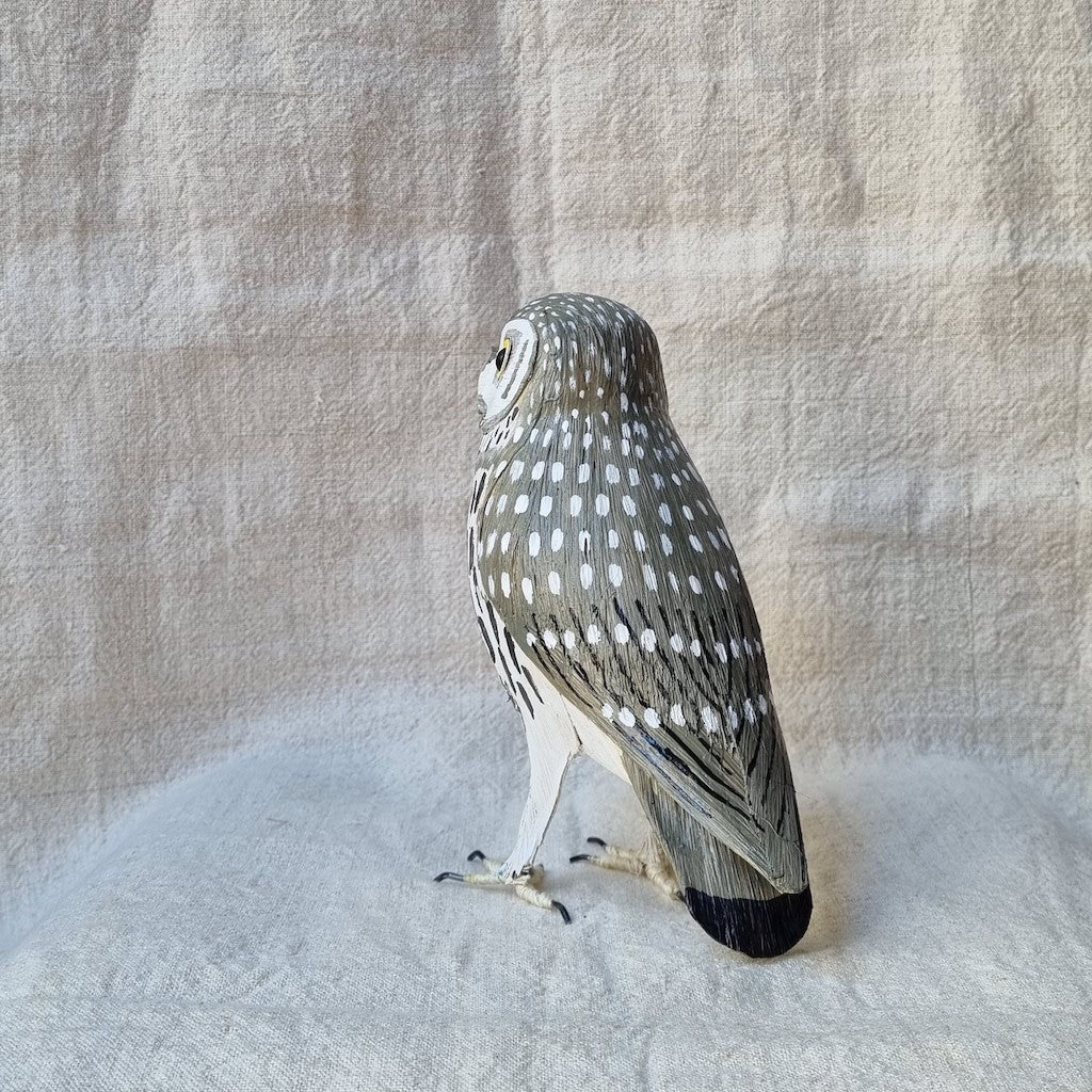 MOCHUELO | ATHENE NOCTUA | PÁJAROS