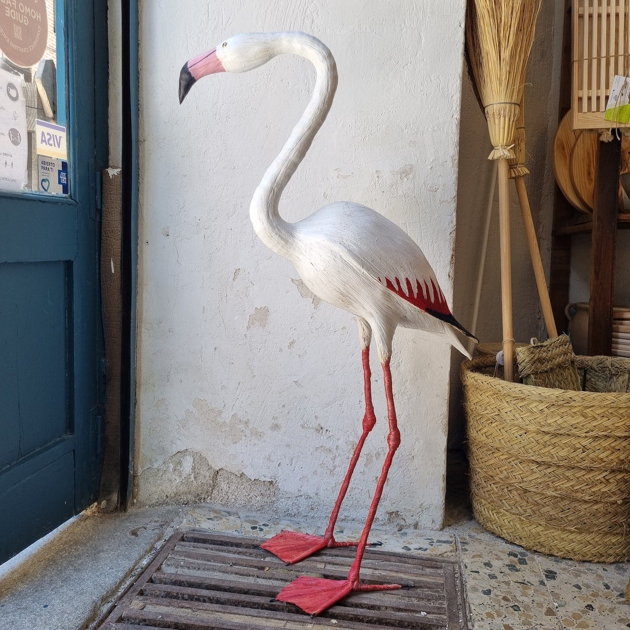 FLAMENCO | PHOENICOPTERUS | PÁJAROS