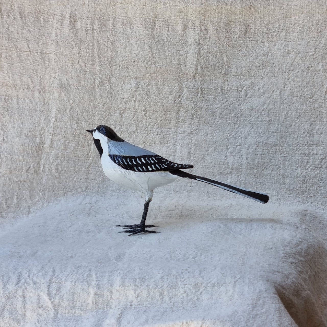 ZORZAL | TURDUS | PÁJAROS