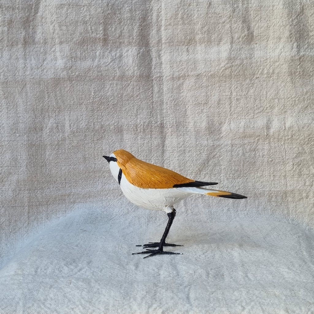 CHORLITEJO PATINEGRO | CHARADRIUS ALEXANDRINUS | PÁJAROS