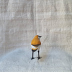 CHORLITEJO PATINEGRO | CHARADRIUS ALEXANDRINUS | PÁJAROS