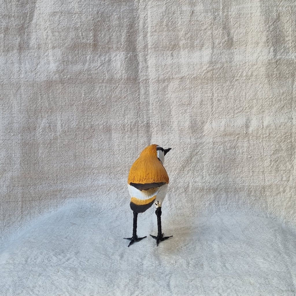 CHORLITEJO PATINEGRO | CHARADRIUS ALEXANDRINUS | PÁJAROS