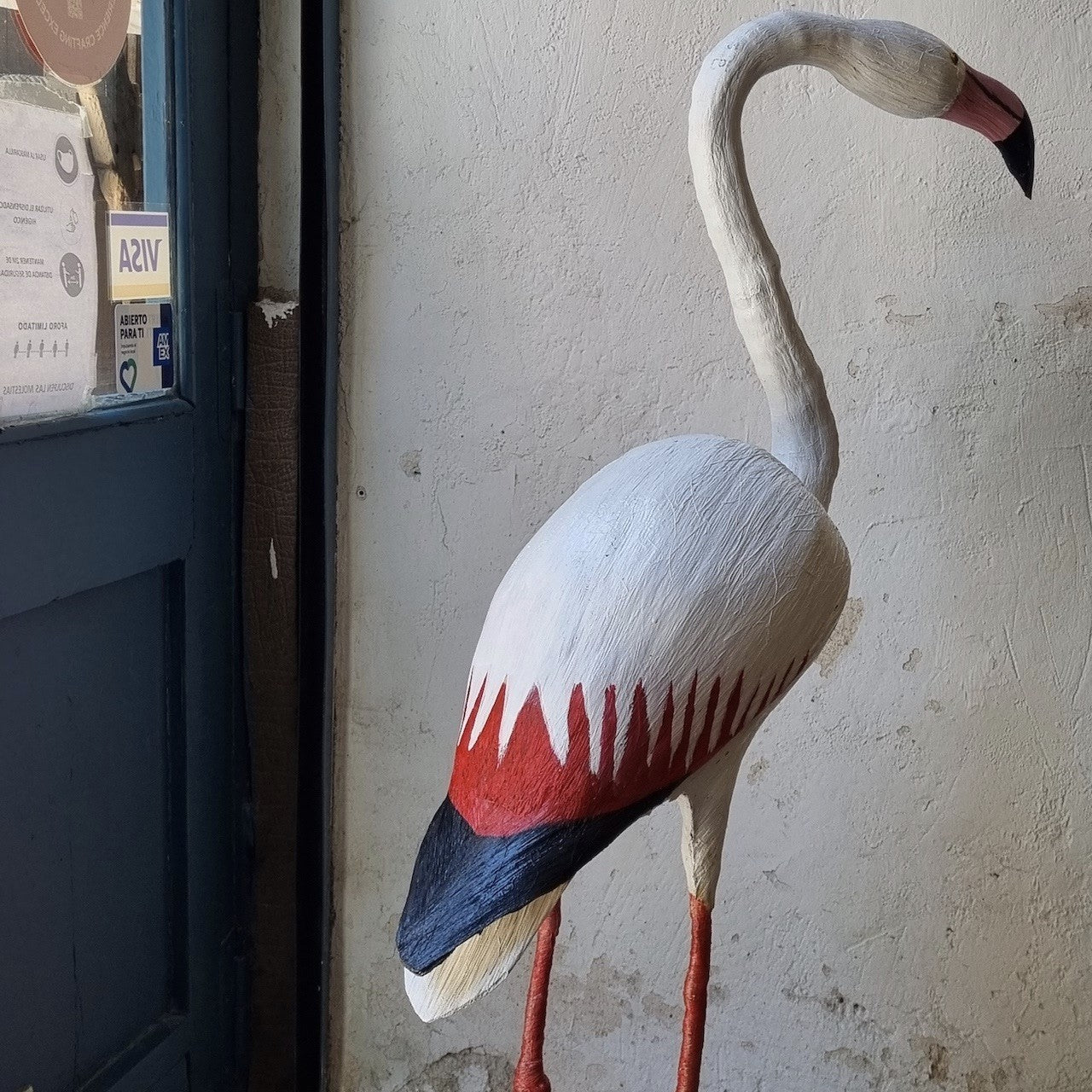 FLAMENCO | PHOENICOPTERUS | PÁJAROS