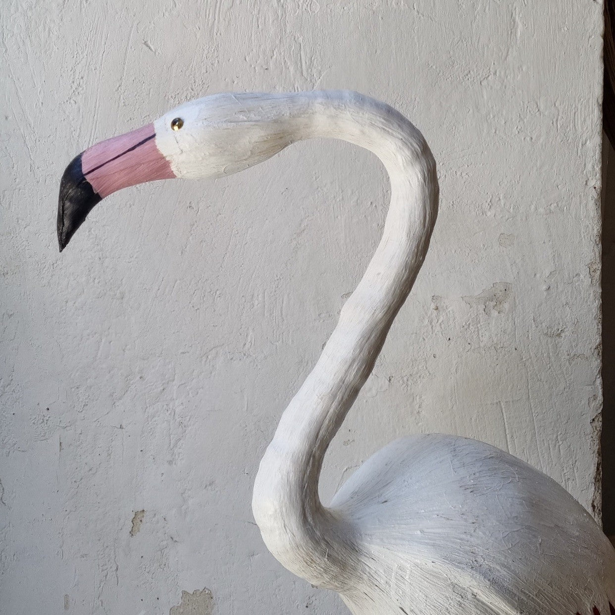 FLAMENCO | PHOENICOPTERUS | PÁJAROS