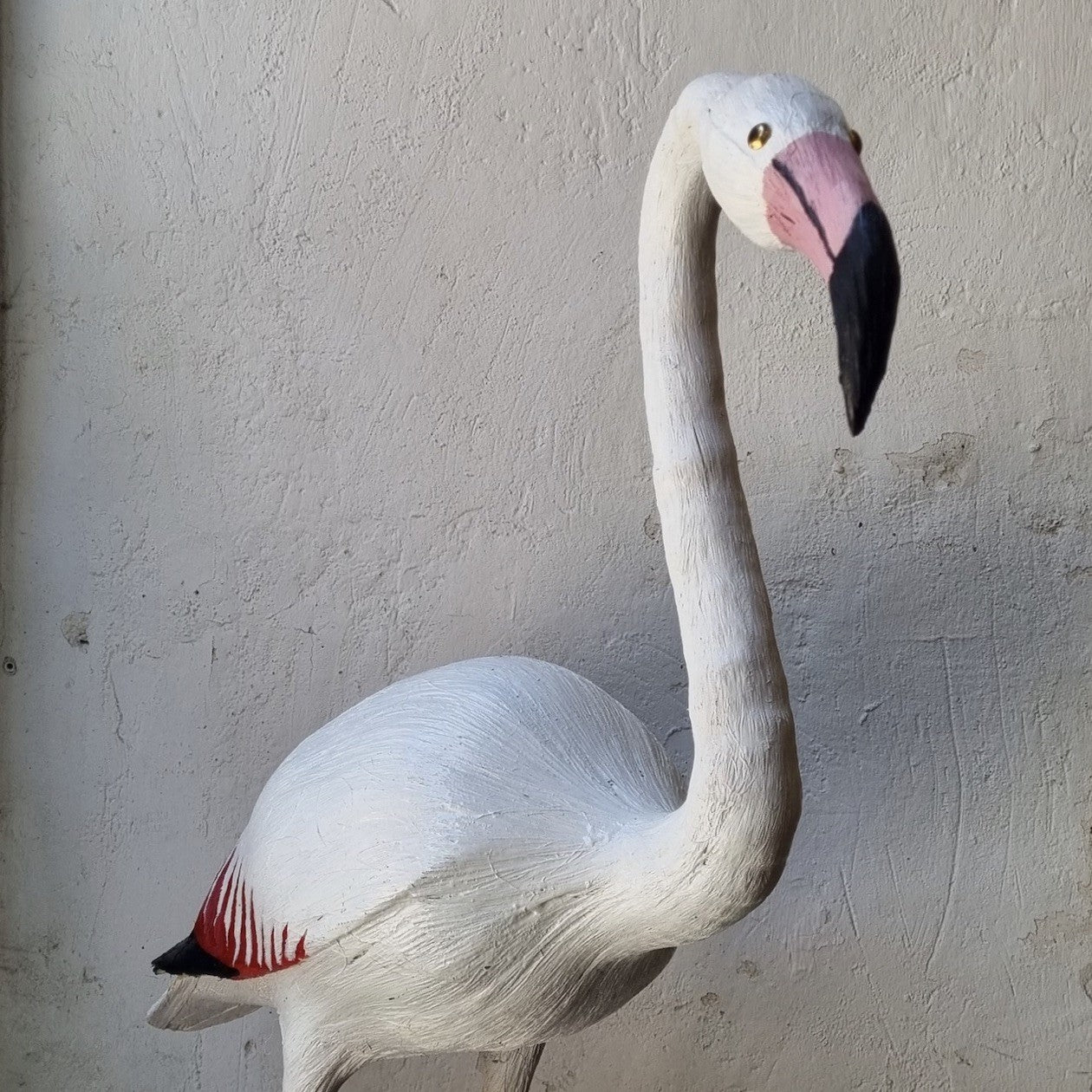FLAMENCO | PHOENICOPTERUS | PÁJAROS