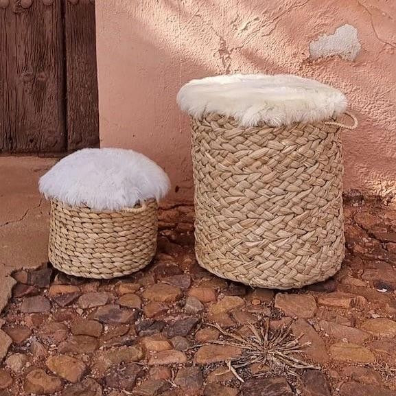 SERIJO PEQUEÑO | COCOL
