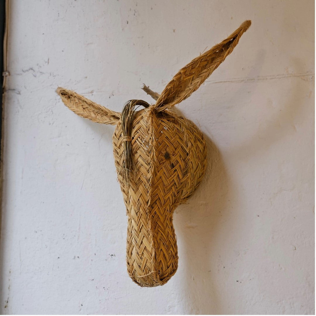 CABEZA BURRO M ESPARTO | JAÉN