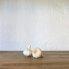 AJOS CERÁMICA | CÁDIZ