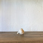 AJOS CERÁMICA | CÁDIZ