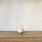 AJOS CERÁMICA | CÁDIZ