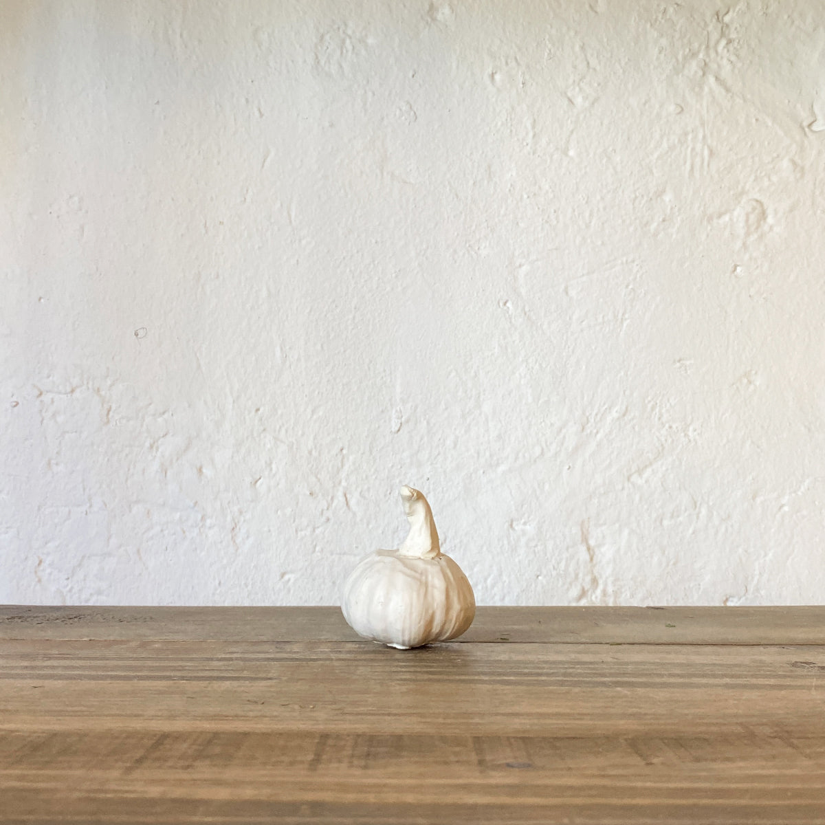 AJOS CERÁMICA | CÁDIZ