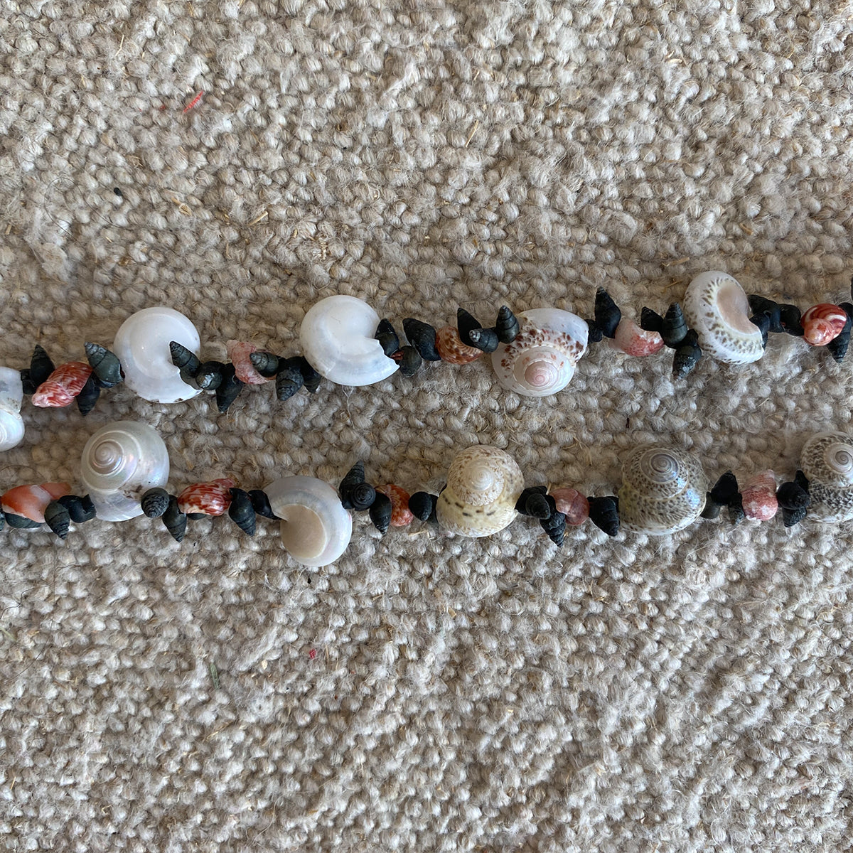 SIMPLE SHELL CHOKER NECKLACE | GALICIA