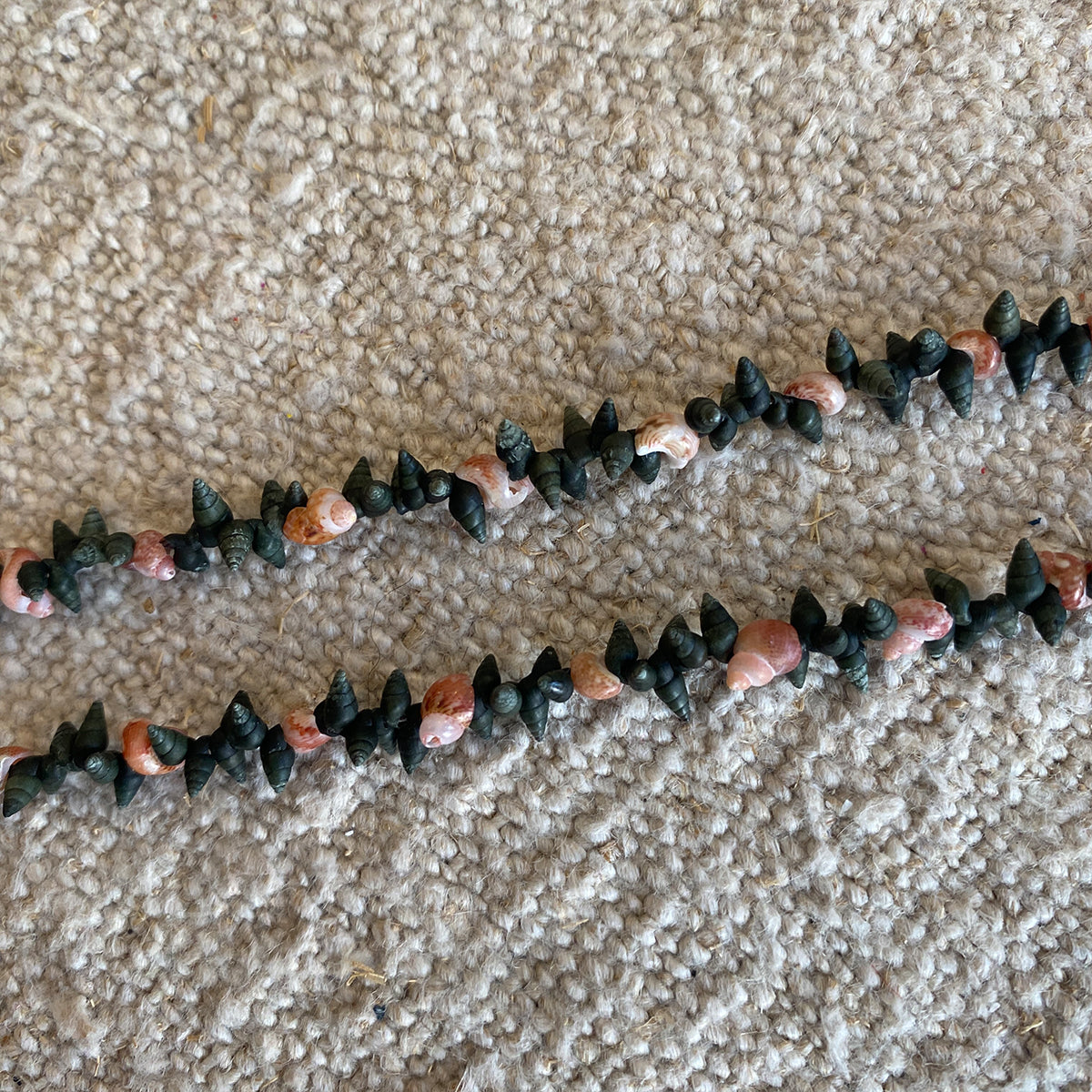 SIMPLE SHELL CHOKER NECKLACE | GALICIA
