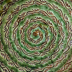ASSIETTE VERTE TITO 2025 27cm