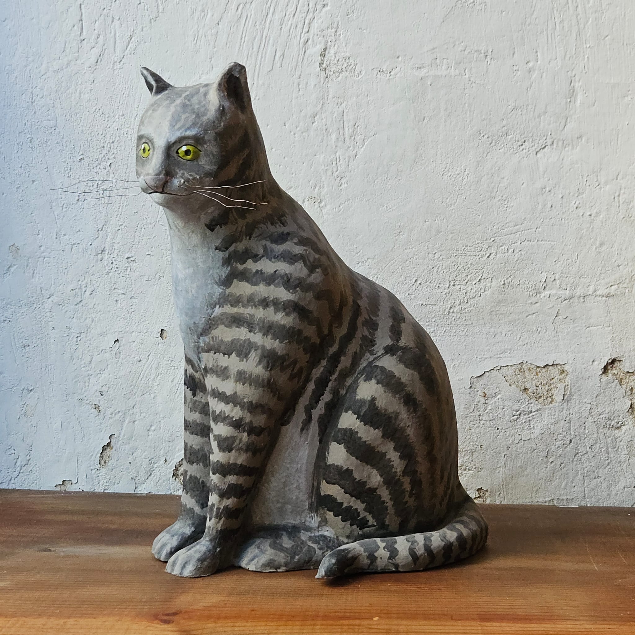 GATO GRIS | GIRONA