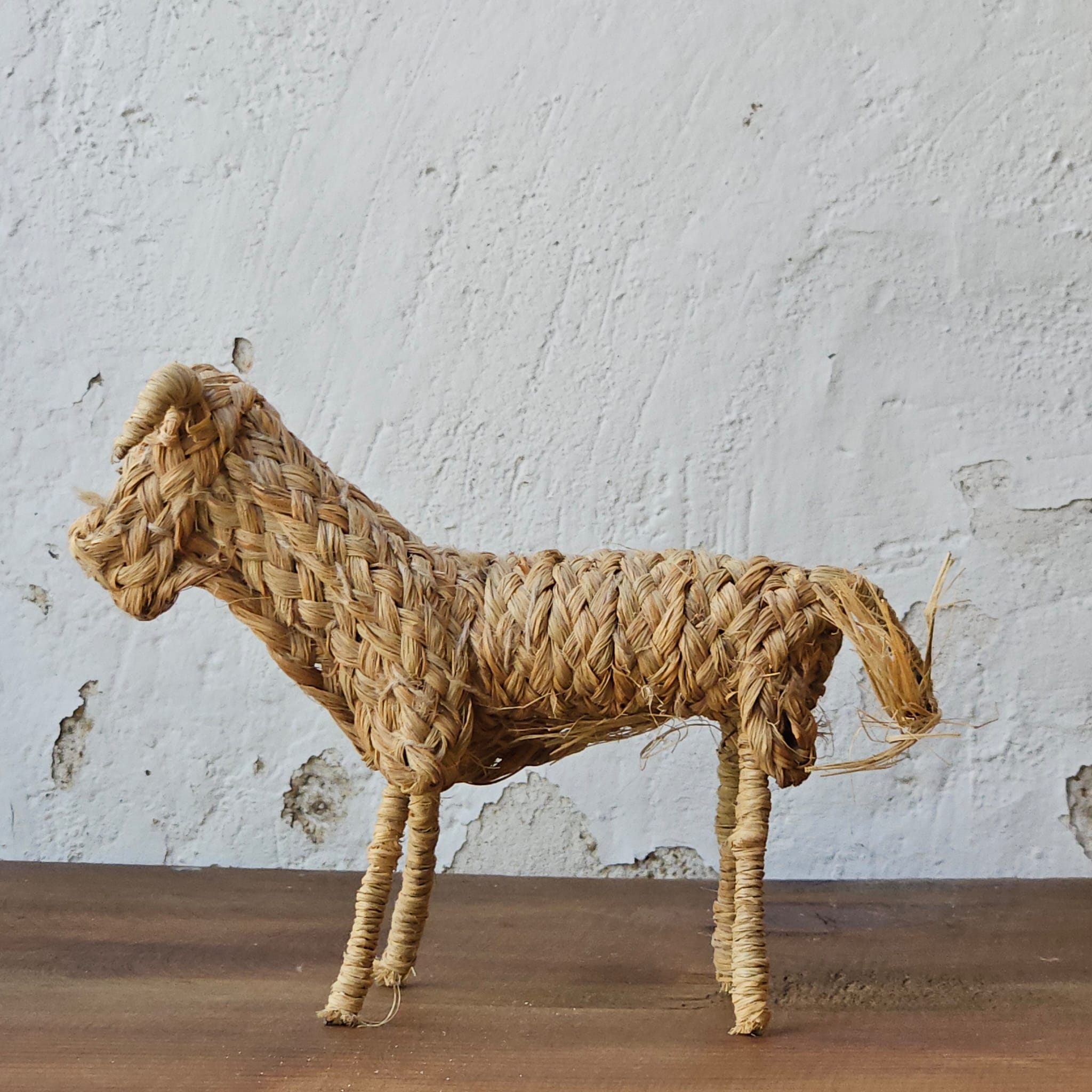 TORO CORDON ESPARTO | JAÉN