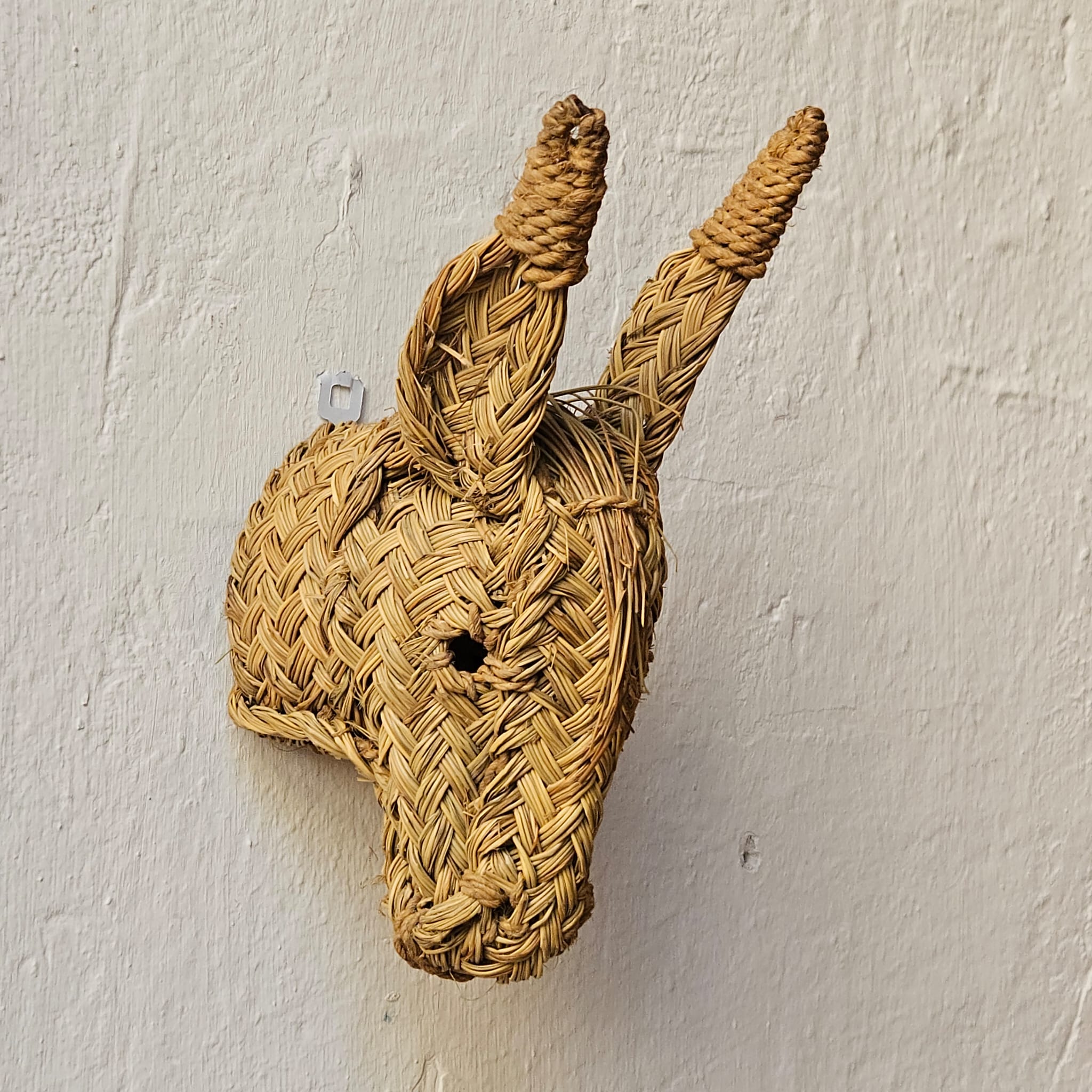 CABEZA BURRO ESPARTO P | JAÉN