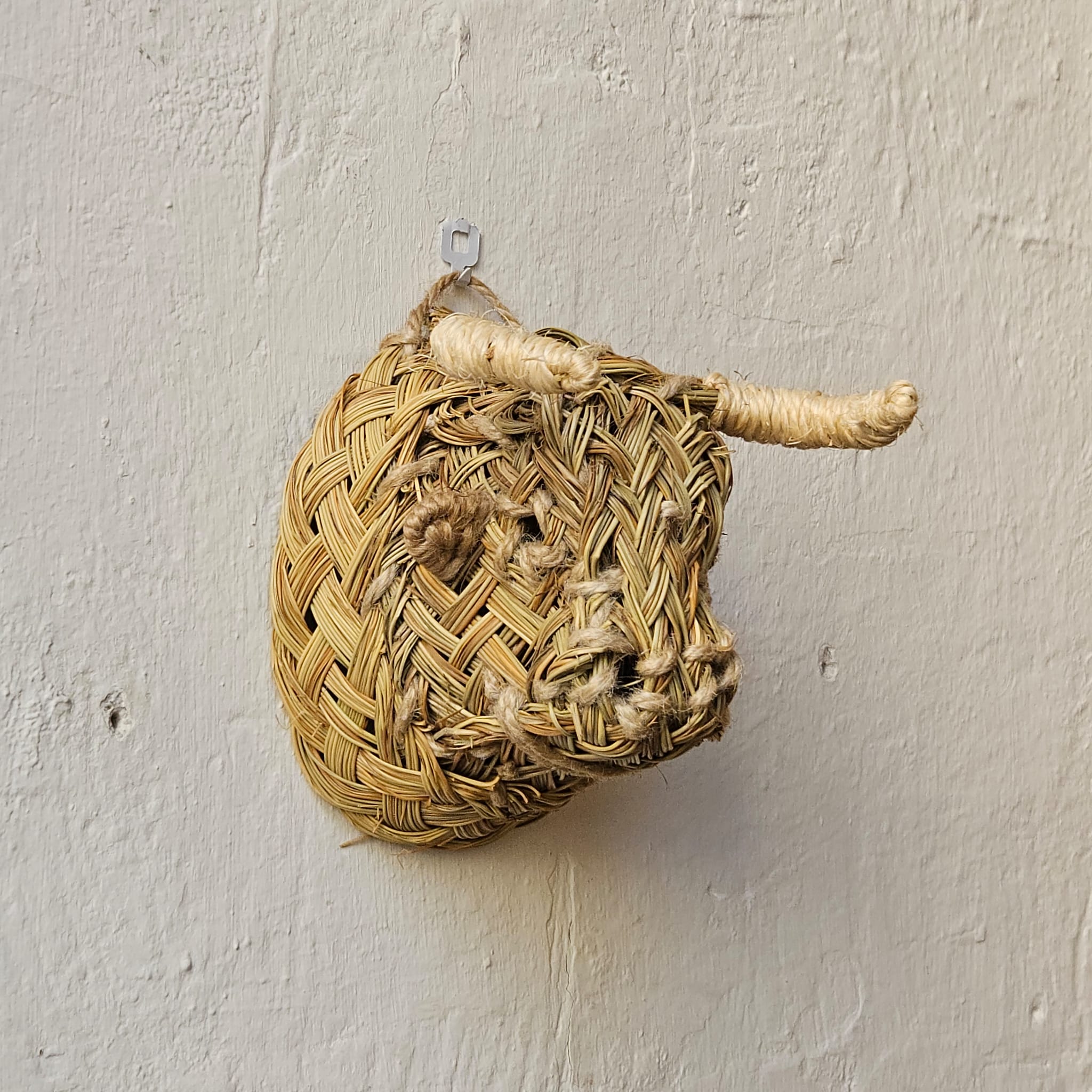 CABEZA TORO ESPARTO P | JAÉN